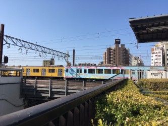 左が普通の黄色い電車